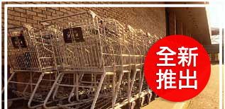 Store2Go Shopping Cart